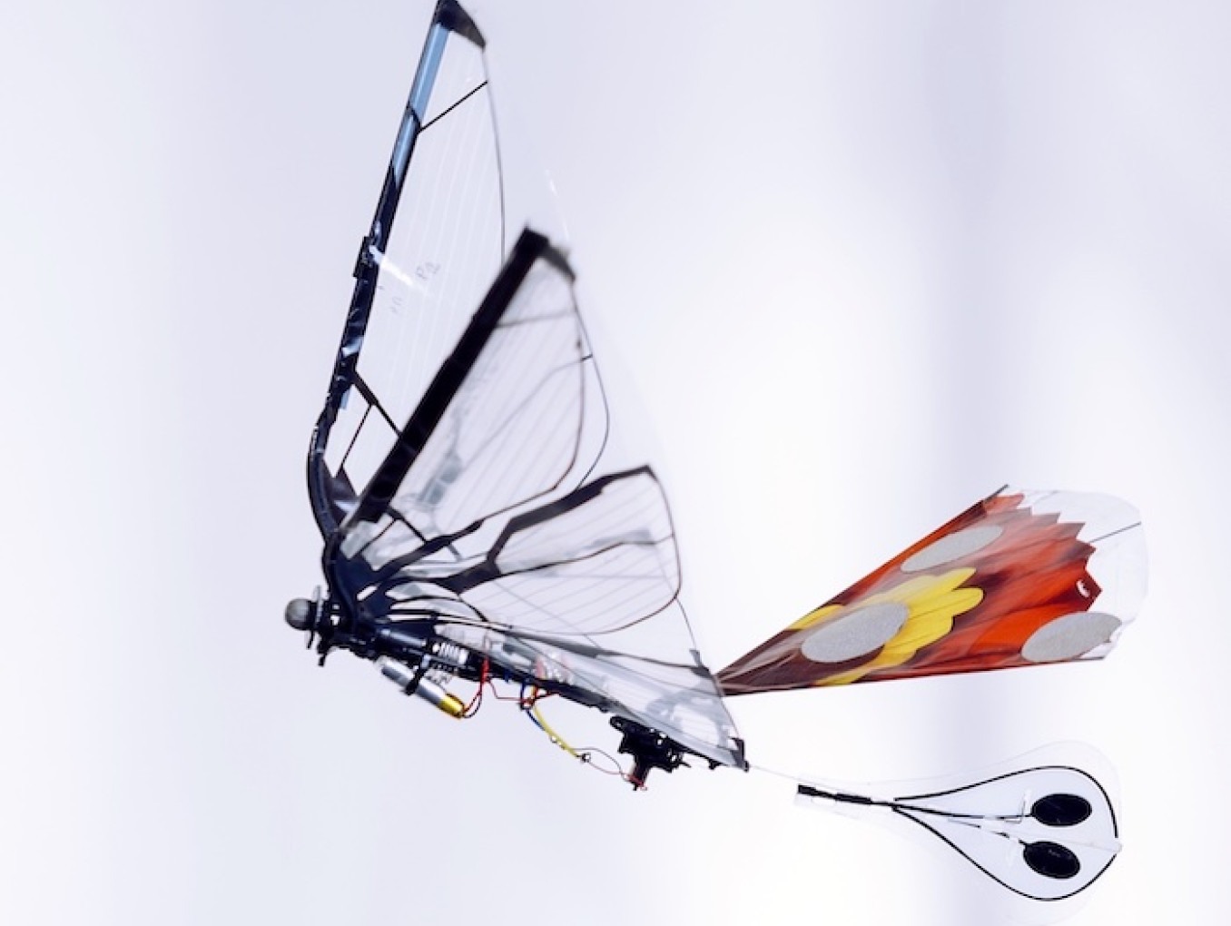 10-gram MetaFly flapping-wing MAV (Ndoye et al. IEEE ICRA 2023)